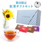 TEA MOTIVATION 紅茶 ギフト ティーバッ