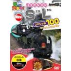 SL специальный 100 DVD