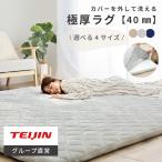 ラグ マット テイジン 公式 極厚40mm 洗える 着せ替えラグ カバー ラグマット 厚手 200×250cm カーペット 高反発ウレタン 抗菌 防臭 防ダニ 滑り止め 加工