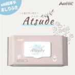 AIRFRIC おしりふき 厚手 無添加 無香料 ノンアルコール 蓋つき 大判 赤ちゃん ベビー 大容量 おしり拭き Atsude 80枚×12個 WT001