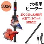 水槽ヒーター オートヒーター 300w 安全 熱帯魚 ミニ クアリウム ヒーター 水槽 ヒーター 水槽 温度調整 200-250L 水槽適用 水温管理 観賞魚用水槽