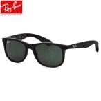 Ray-Ban レイバン サングラス RJ9062S 701371 48サイズ アンディ Andy ジュニア Junior 7013/71 キッズ KIDS ウェリントン スクエア