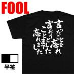 おもしろtシャツ メンズ パロディ風雅(言ったことを忘れ 言おうとしたことまで忘れました )大きいサイズ 文字 ドライ キッズ