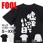 おもしろTシャツ メンズ キッズ パロデ