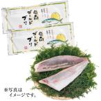 【送料無料】愛媛県産 愛南ゴールド鰤｜贈答用・ギフト人気・産地直送