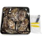  Hiroshima производство ... can can жарение рефрижератор . есть ..1.6kg( примерно 12 шт из 20 шт )( Hiroshima префектура . индустрия . такой же комплект . полосный ..)