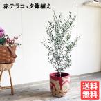 商品画像2