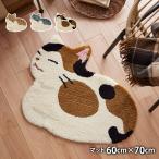 KOUBAKOWARI コウバコスワリ (約60cm×70cm