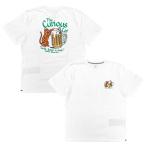 VOLCOM ボルコム Tシャツ 半袖 ホワイト メンズ　Curious Cat T-shirt (WHITE）