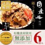 ショッピング牛丼 本当に美味しい 牛丼  国産牛 無添加 極うま 牛丼の具 140g 6食セット メーカー直送