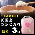 ショッピング新潟 精米 棚田米 新潟産コシヒカリ 3kg / ごはんソムリエ 笹川正嗣 厳選 新潟米 / 奥胎内山麓の棚田 令和７年産  送料無料 新米