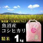 精米 魚沼産コシヒカ�