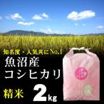 精米 魚沼産コシヒカ