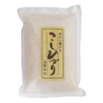 新米 お米 新潟産コシ