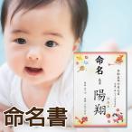  жизнь название документ мужчина девочка - название inserting .. предмет жизнь название бумага плата кисть / имя + дата рождения +. сырой время + рост масса / A4 размер ламинирование обработанный ./ младенец название установка праздник .