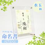 [ название inserting ] жизнь название документ полька-дот - мужчина жизнь название бумага / акрил рама открытка размер 