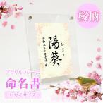 [ название inserting ] дизайн жизнь название документ Sakura - девочка мужчина жизнь название бумага / акрил рама открытка размер 
