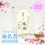 [ название inserting ] жизнь название документ Sakura - мужчина жизнь название бумага / акрил рама открытка размер 