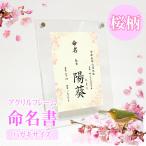 [ название inserting ] жизнь название документ Sakura - девочка жизнь название бумага / имя + дата рождения +. сырой время + рост масса / акрил рама открытка размер 