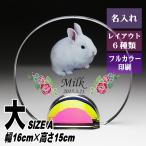  домашнее животное мемориальная табличка crystal KP-17( большой ) название inserting домашнее животное мемориальная табличка предметы для домашнего буддийского алтаря собака кошка love собака love кошка фотография memorial мемориальная табличка домашнее животное предметы для домашнего буддийского алтаря домашнее животное .. под рукой ..