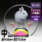  домашнее животное мемориальная табличка crystal KP-17( средний ) название inserting домашнее животное мемориальная табличка предметы для домашнего буддийского алтаря собака кошка love собака love кошка фотография memorial мемориальная табличка домашнее животное предметы для домашнего буддийского алтаря домашнее животное .. под рукой ..