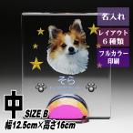  домашнее животное мемориальная табличка crystal KP-18( средний ) название inserting домашнее животное мемориальная табличка предметы для домашнего буддийского алтаря собака кошка love собака love кошка фотография memorial мемориальная табличка домашнее животное предметы для домашнего буддийского алтаря домашнее животное .. под рукой ..