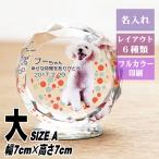  домашнее животное мемориальная табличка crystal KP-26( большой ) название inserting домашнее животное мемориальная табличка предметы для домашнего буддийского алтаря собака кошка love собака love кошка фотография memorial мемориальная табличка домашнее животное предметы для домашнего буддийского алтаря домашнее животное .. под рукой ..