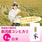 新米 米 1kg 棚田米 新