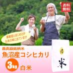 米 3kg 魚沼産コシヒカ�