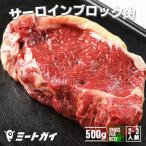 ステーキ 塊肉 ブロッ