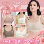 VEIMIA小さく見せるブラ【3点入り】 2025ブラジャー福袋 大きな胸を小さく見せるブラ 脇高 脇肉ブラ 補正下着 福袋 2025 レディース