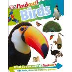 findout! Birds