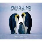 PENGUINS CLOSE ENCOUNTERS