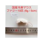  местного производства рефрижератор мышь faji-10 шт 6g 5cm магазин The *pa-n