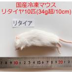  местного производства рефрижератор мышь li шина 10 шт стандарт 34g супер / 10cm магазин The *pa-n