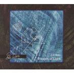 ERIK WOLLO/Images Of Light (1990/5th) (elik*wo low /Norway)