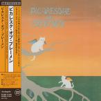 PICARESQUE OF BREMEN/Same(ピカレスク・オブ・ブレーメン) (1984/1st) (ピカレスク・オブ・ブレーメン/Japan)