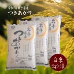 米15kg お米 5kg×3袋 白米 つきあかり 特別サイズ 令和7年 岩手県産 送料無料 ファミリータイプ