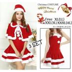大きいサイズ サンタクロース XXL コスプレ衣装 コスチューム レディース サンタ XXXL 3L 4L