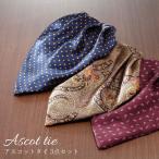  пластрон галстук шелк 3 шт. комплект мужской Ascot шарф 