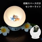 <5. .. день > сенсор свет человек чувство закрытый наружный тип аккумулятора место хранения Space имеется сенсор свет Mono Spot