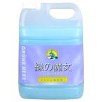 大容量 緑の魔女 トイレトイレ用洗剤 5L 業務用