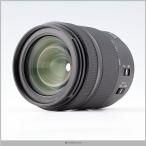 PANASONIC LUMIX S 28-200mm F4-7.1 Macro O.I.S.