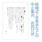 【Ti Amo】 挙式中止文面お詫び状／コロナウイルス／再招待状／結婚式