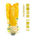 日の出  常温保存  真空 （黄色）  黄玉米  粘玉米  軸付き とうもろこし　 トウモロコシ ワキシーコーン 農作物　1本  粘苞米　苞米　黄玉米 甜糯玉米 糯玉米