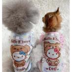 オッティOttyハローキティHEL...