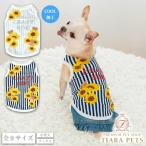 クレイジーブーCRAZYBOOひま...