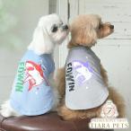 エドウインEDWINシャークメッシ...