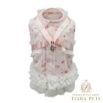 リュクスバーディLuxebirdi...