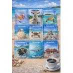  можно выбрать 8 шт. комплект trip coffee поездка кофе Okinawa ограничение . лампочка ...... постоянный кофе карниз кофе . отгрузка до самый длинный 1 неделя передний и задний (до и после) . час . получаем 
